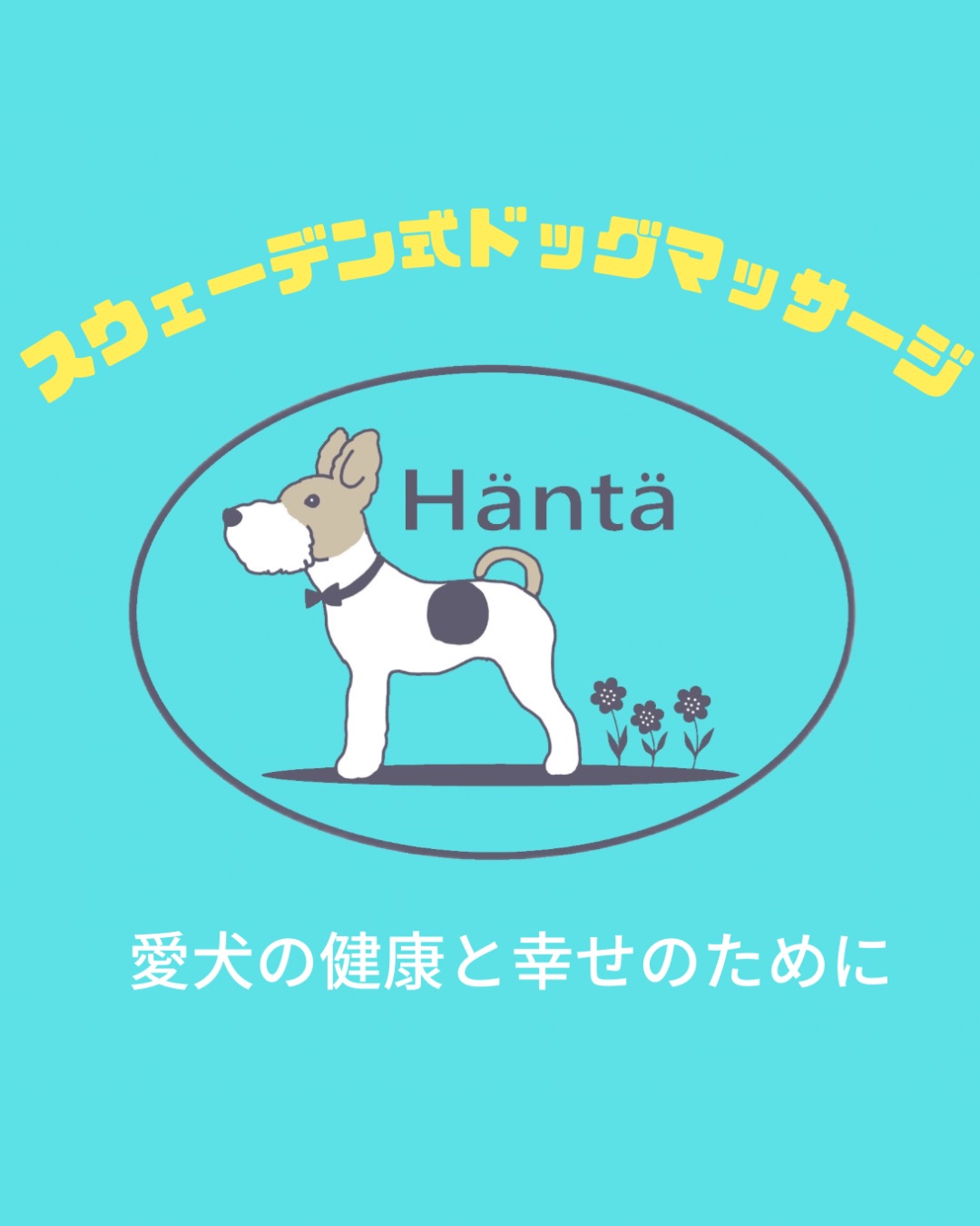 スウェーデン式ドッグマッサージ　Hanta